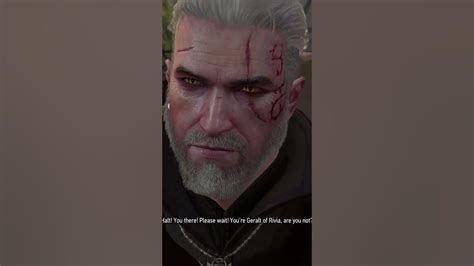Geralt pays Taxes .